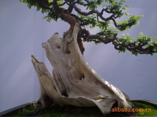 ľ辰40*60*3025KG
