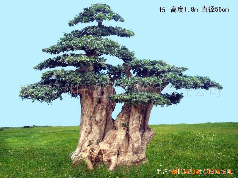 ¶Խڰ׮15(ͼ)
