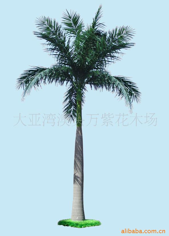 Ҭ