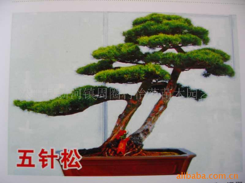 ľ辰޺辰ޱ辰ȸ÷辰