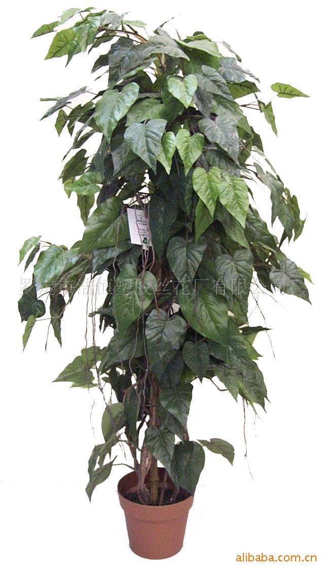 仿真杏叶树,仿真植物