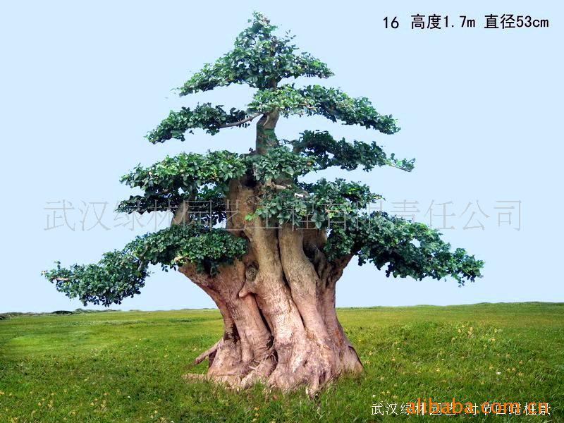 ¶Խڰ׮16(ͼ)