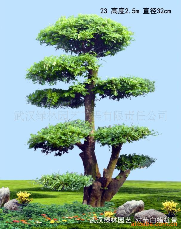 ¶Խڰ׮23(ͼ)