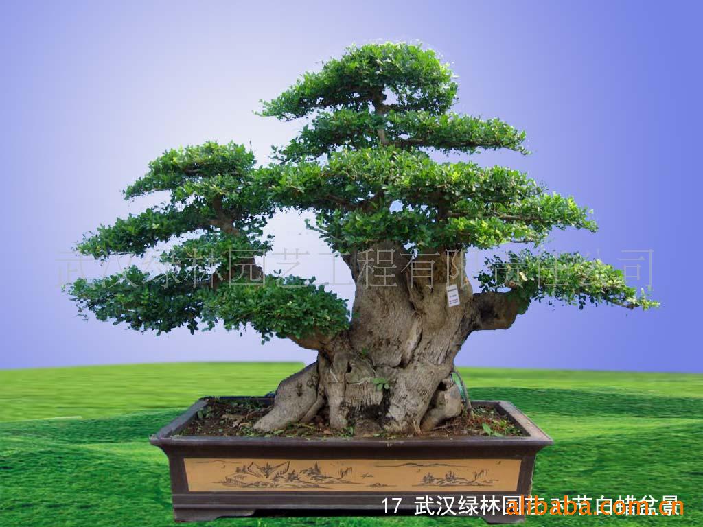 ¶Խڰ׮辰17(ͼ)