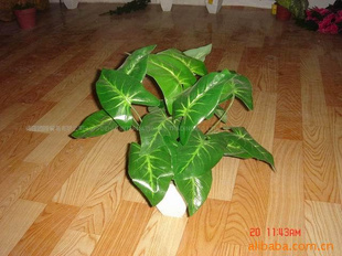 国外出口精工仿真植物.仿真盆景—得汇