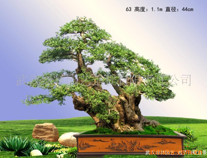 ¶Խڰ׮辰(ͼ)