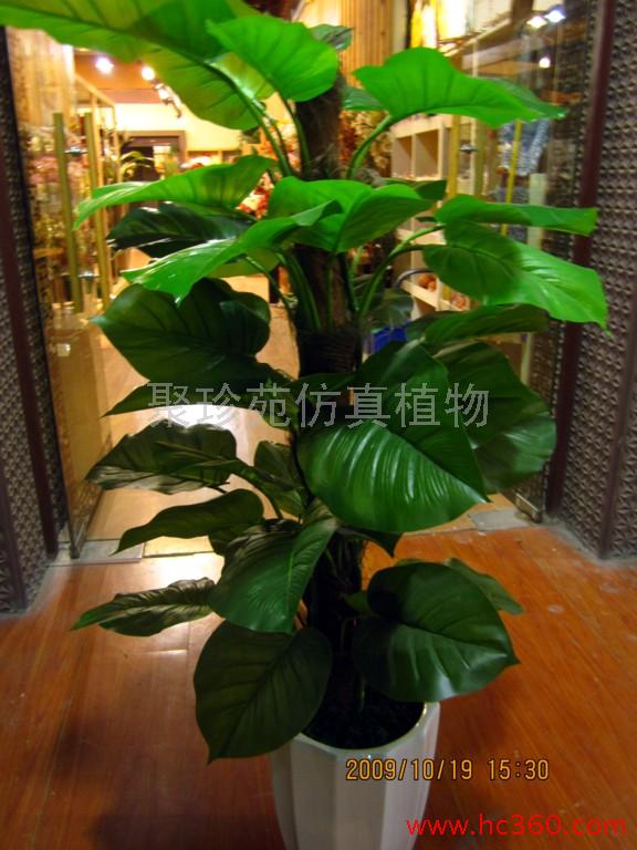 聚珍苑仿真植物仿真绿罗仿真树仿真花