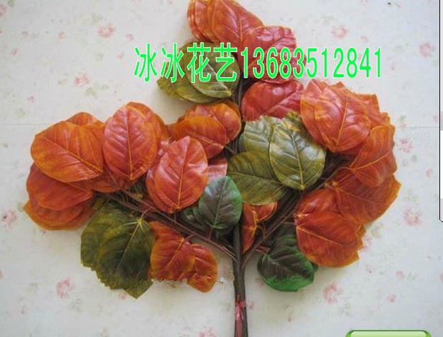 Ҷ13683512841