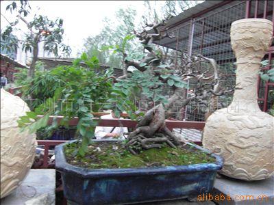 辰1884ţ