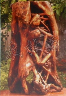 辰辰ľ辰辰