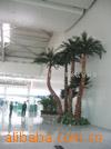 仿真树,保鲜棕榈树,(图)