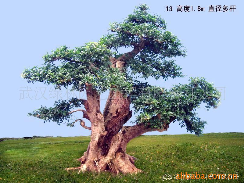 ¶Խڰ׮13(ͼ)