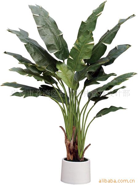 ֲ,230CM-2˽(ͼ)