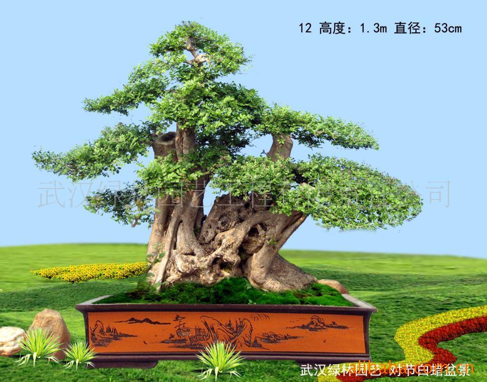 ¶Խڰ׮辰12(ͼ)