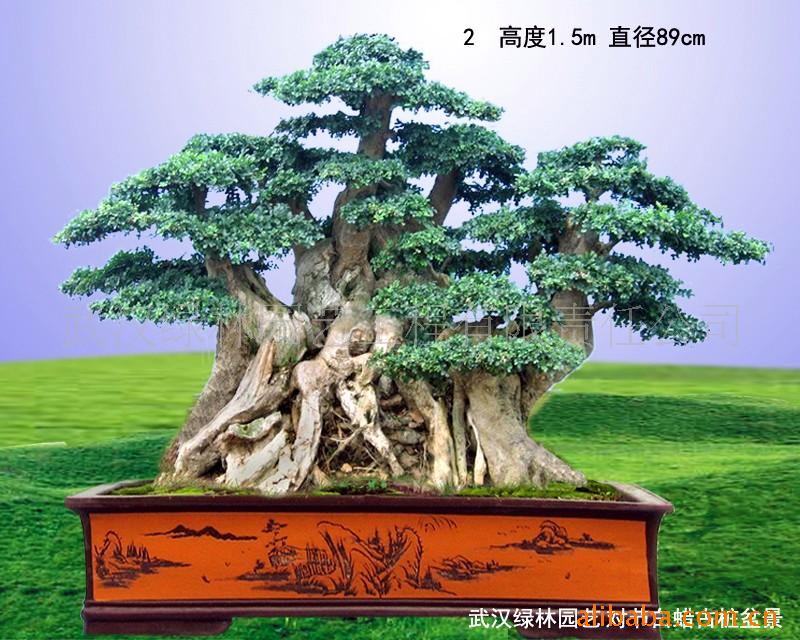 ¶Խڰ͹׮辰2(ͼ)