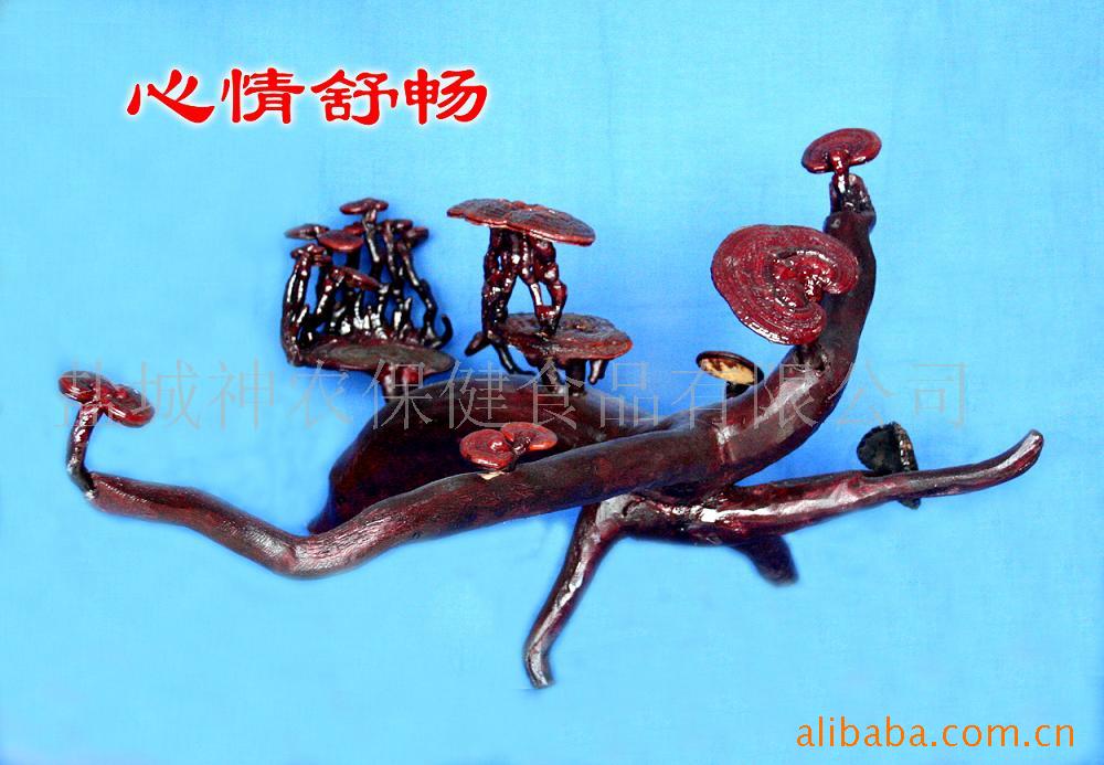 ֥辰֮泩