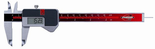 ؼۣSTANDARDͨ