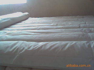 20809mm˿޷Ļӭ