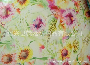 ѩ