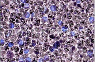 ɳӡ14mm16mm22m23mm25mm30mm40mmɣ˿˿秶