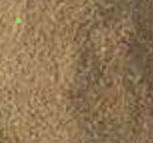 ֲ