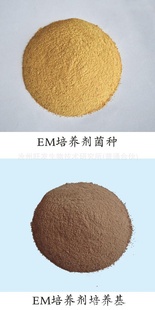 EM+