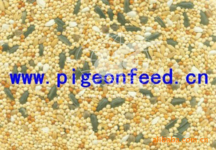 ʳʳŸŸBIRDSEED