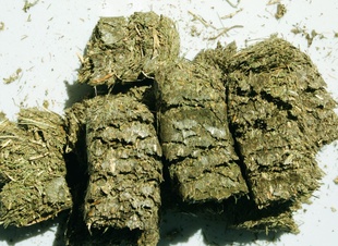 ݿ飬ѹ