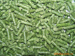 2012ϻޣݿ
