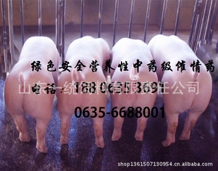 ĸ󲻷飬䲻/ֹ²֣
