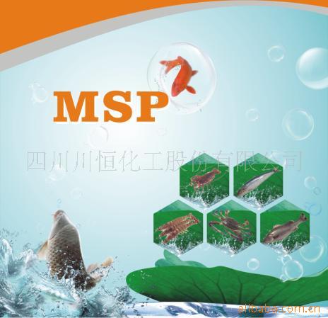 “С̫”ϼ׶MSP