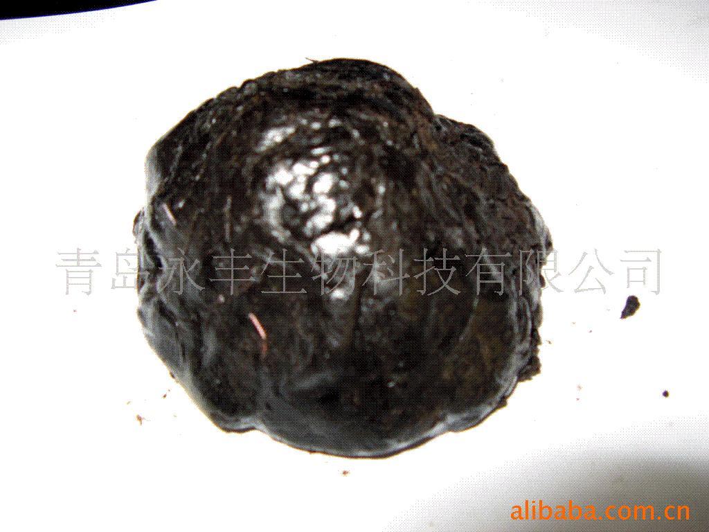 (SQUIDLIVERPASTE)(ͼ)