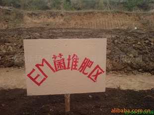 EM(ѷʣ
