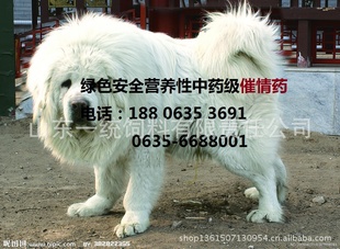 ĸ󲻷鲻Ѳ䲻/£