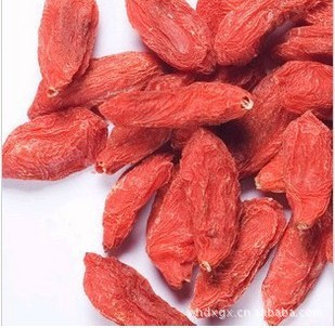 280/50Gֱ