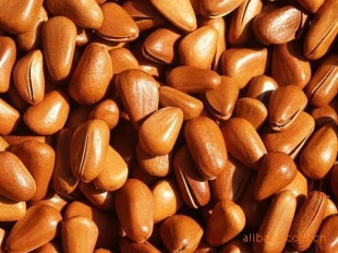 ڼ