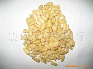 ʲ