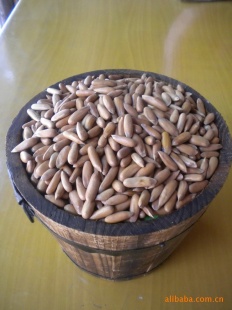 ľؼ