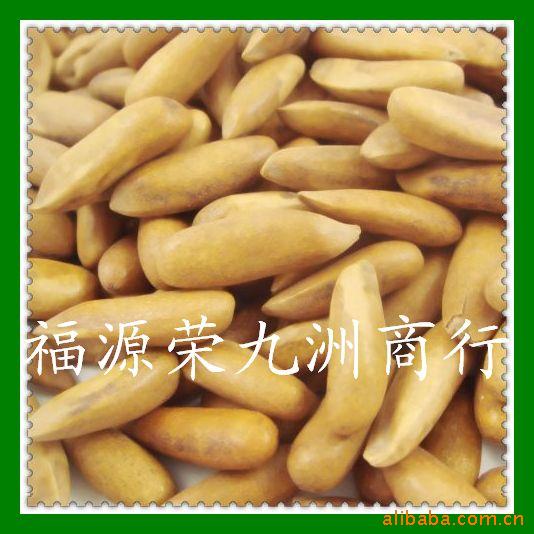 02G11½زɹʳƷ˹̹