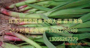 13ݴˮϴ޷ü۸