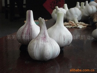5cm/5.5cm/6cmڼƤ