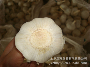 5.5CMס250G10KGֽ