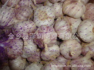 ڴ⣬⣬״⣬հ״⣬Ƥ⣬garlic