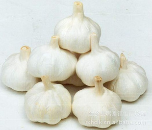 ڴⱾ˾ڴ⻶ӭѯ