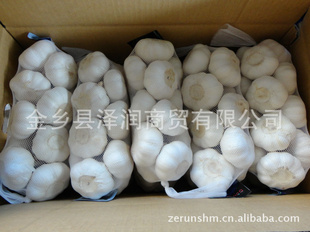 ⣬հ״⣬״⣬garlic