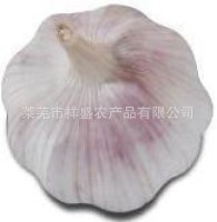 ʳƷ겿ֱʴ⣡
