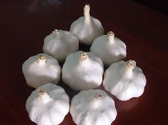 ڼհ״⣬ֹװԼӹ