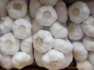 10ڼ