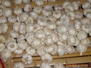ڼ2011