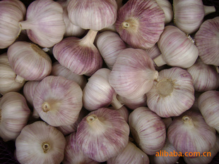 ӹŷޱ׼~סհ״Сװ